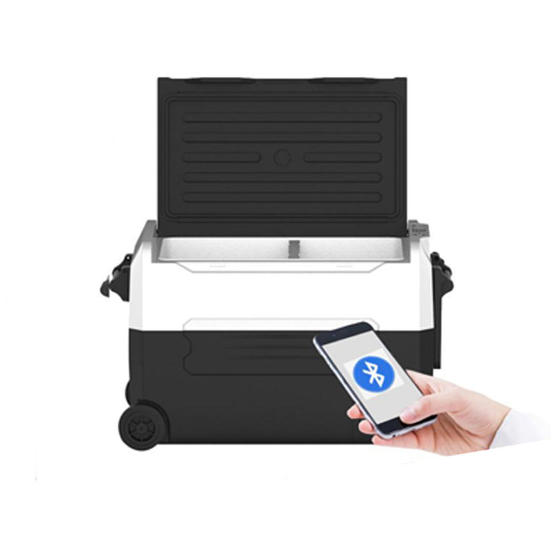 EA compressor car mini refrigerator 35-55L bass ≤ 35 decibels dual-use 12v24v