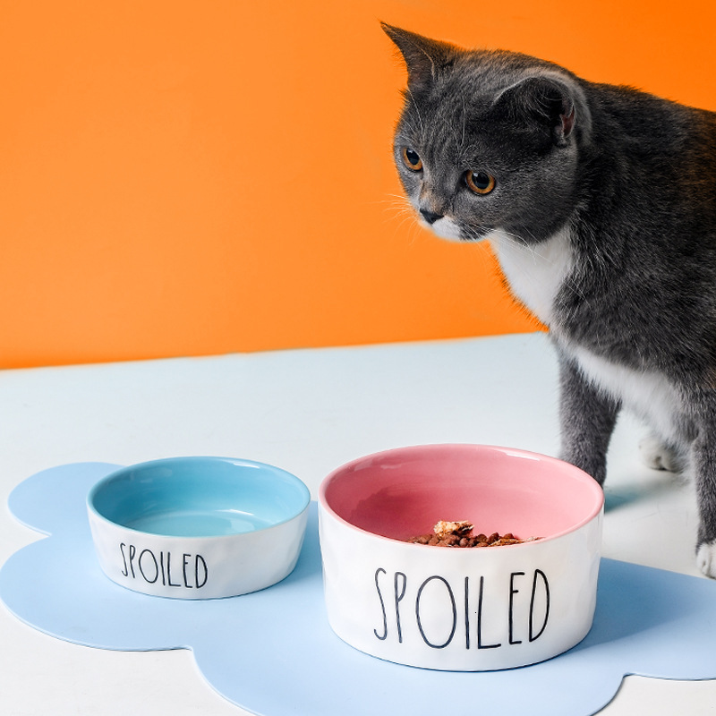 Creative Color-Block English Pet Ceramic Drinking Cat Large Medium Small Kitten Food Bowl Dog Supplies