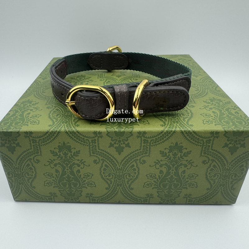 Classic Red/Green Dog Collar Designer Pets Leash, Luxury Dog Leather Collar with Buckle, Durable & Comfortable for Small Dogs Daily Walking Multiple Colors M B264