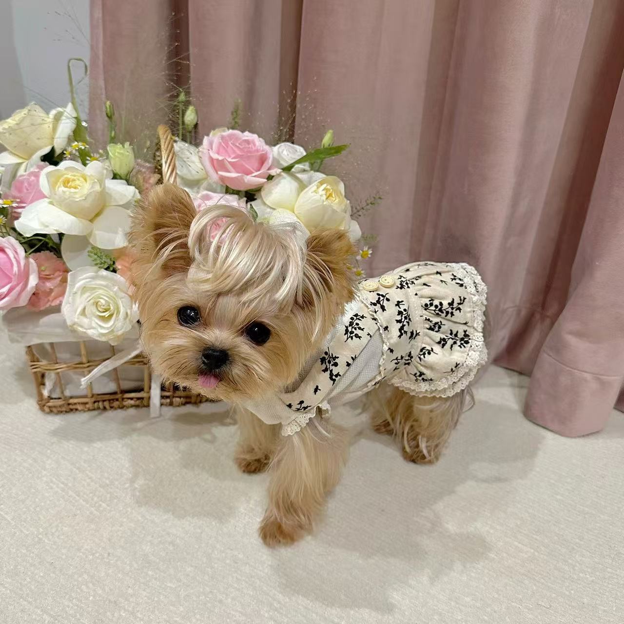 T00334 Pet clothes waffle fake two-piece floral overalls Yorkshire Maltese dog cat clothes