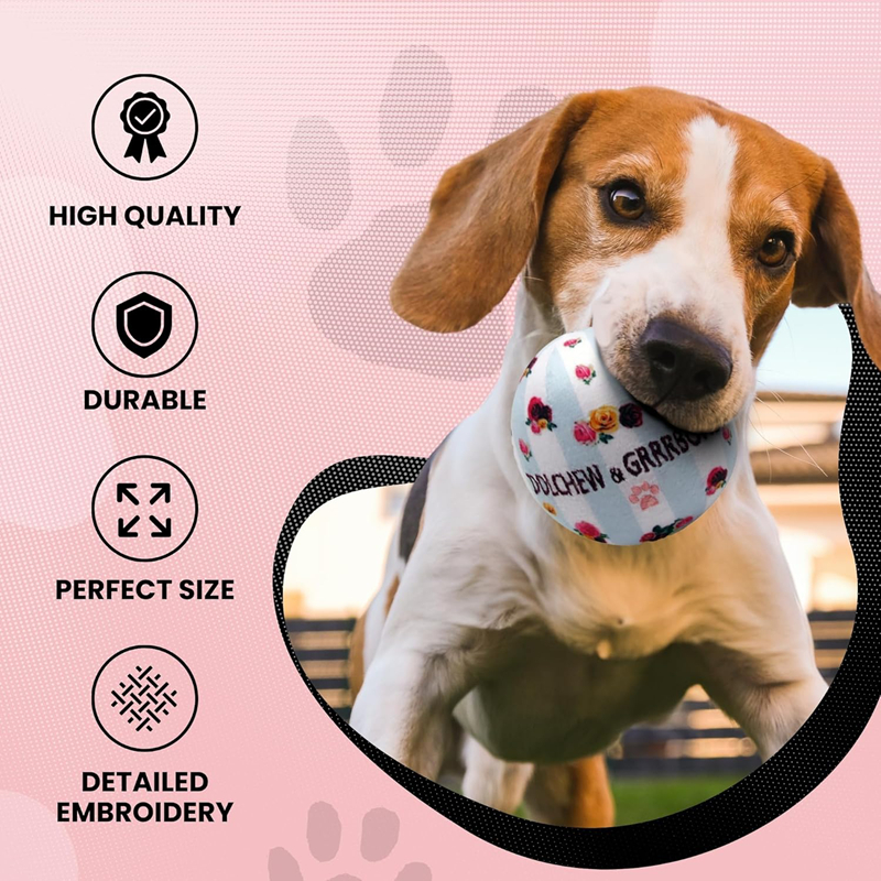 Luxury Dog Toys Designs Runway Pup Collection, Unique Squeaky Parody Plush Dog Toys, Porter Dog Bones, Balls & Dog Bag, Fashion Accessories, Dogs Chri
