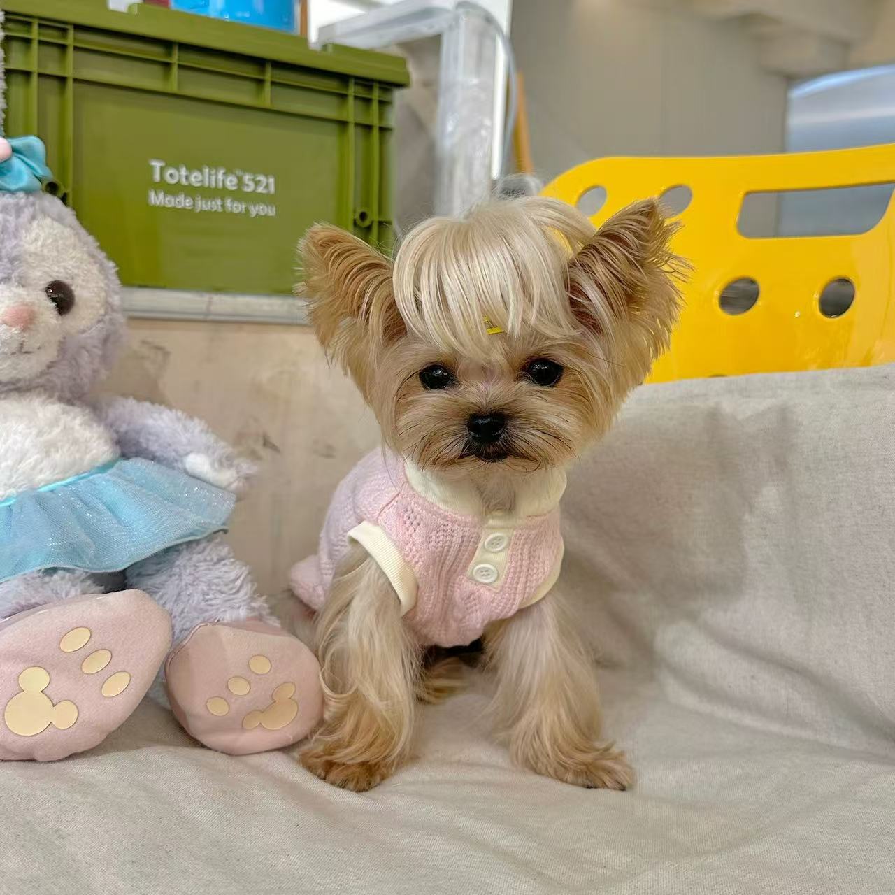 T00329 Pet clothes waffle fake two-piece floral overalls Yorkshire Maltese dog cat clothes