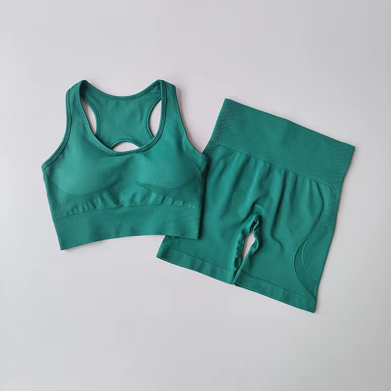 Seamless Yoga Set for Women Sexy Sport Bra Vest Fitness Shorts Set High Waist Sports Suit Gym Clothing Fitness Bra Set 2 PCS Shorts Suit Beautiful Bac