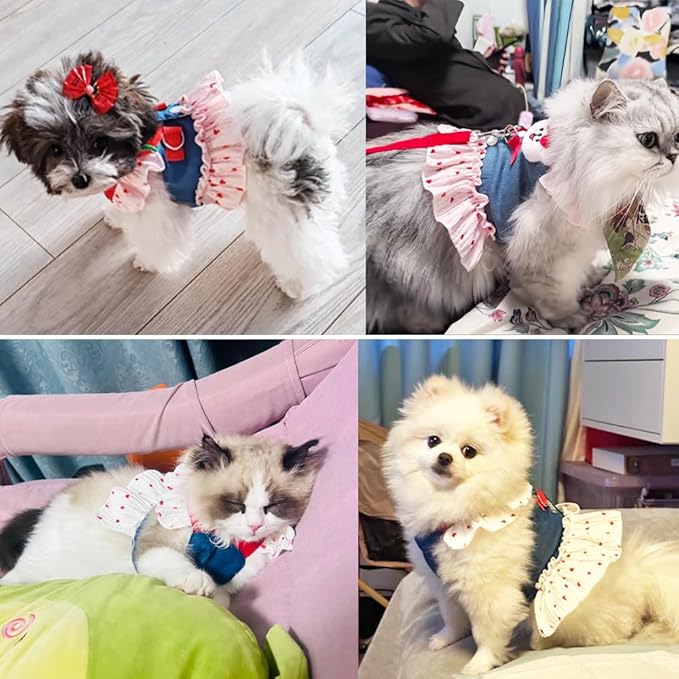 Denim Dog Dress Leash Set Cute Small Dogs Clothes Girl Heart Patterns Puppy Dresses Breathable Mesh Cat Harness Strawberry Chihuahua Yorkie Outfit XS 