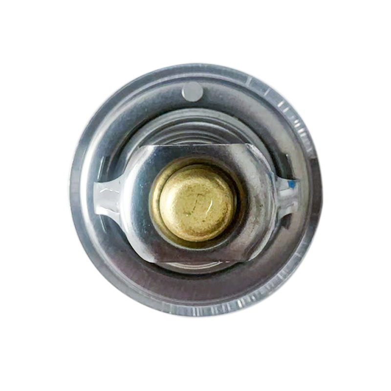 accurately adapted to lada cars highquality thermostat assists in stable operation of cooling system