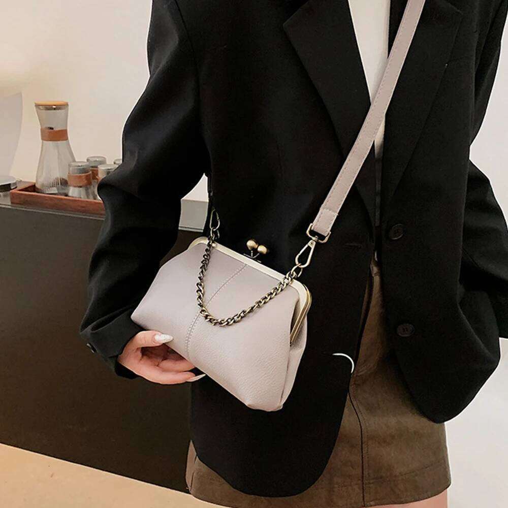 Women's Designer Vintage Shell Clip Shoulder Bag Lichee Pattern Frame Handbags Chains Sling Crossbody Bags For Women Kisslock Coin Lipstick Purse