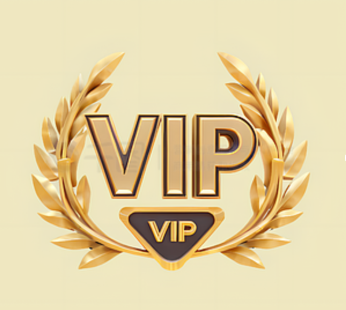 VIP exclusive payment link luxury designer package You can use this link to purchase other products not displayed in the store VIP008