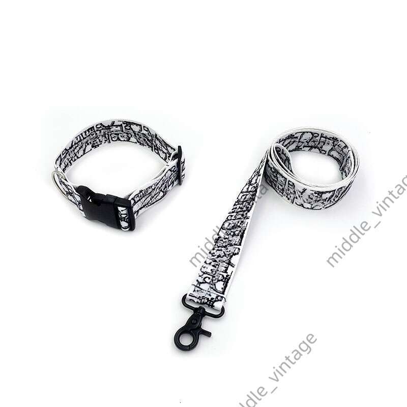 Pet Carrier DD French Bulldog Pomeranian Yorkshire Schnauzer Cat Tote Trendy Brand Dog Bag Collar Set