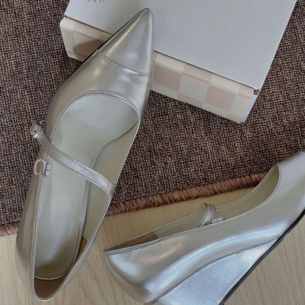 Genuine Leather Silver French Niche One-Strap Thick Heel Wedge Pointed Toe Mary Jane Shoes for Women Spring Summer High Heels