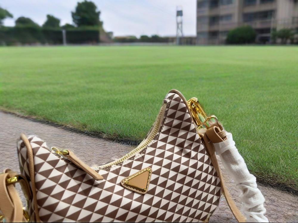 2025 new single shoulder underarm plaid hobo popular item, exquisite, sweet, personalized, fashionable and versatile crossbody bag