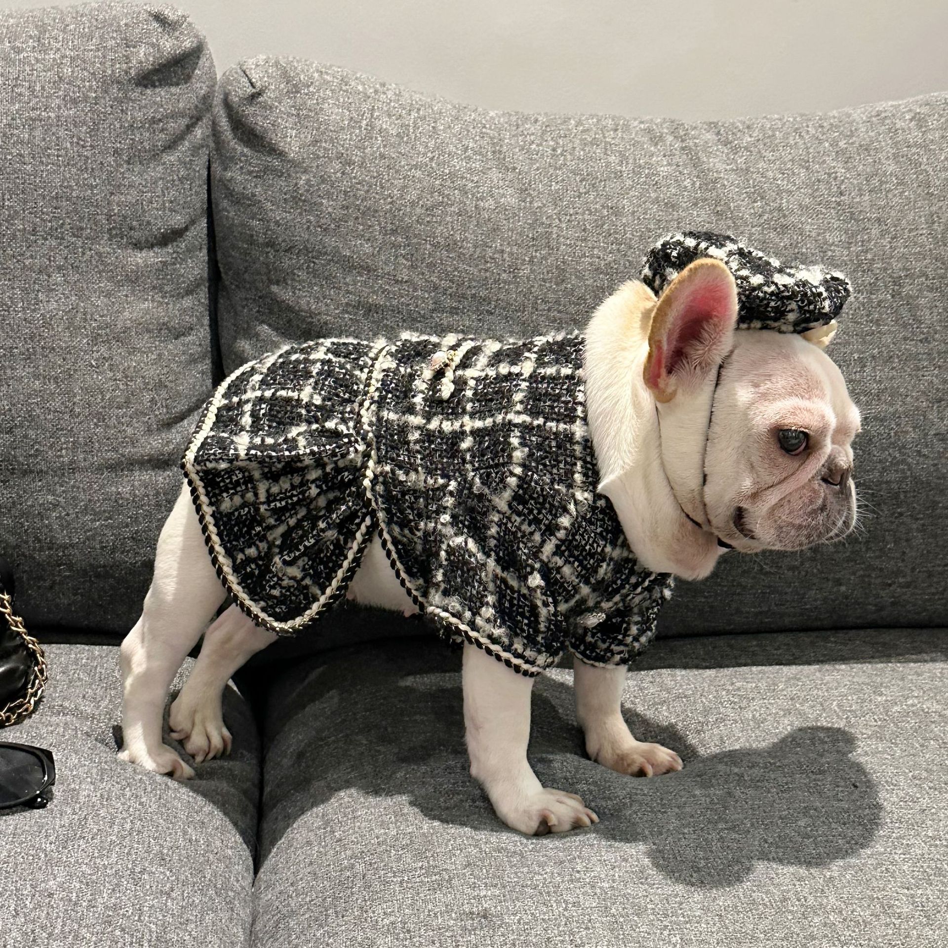 Tweed Luxury Princess Dog Apparel Dress Girl Cute Pet Clothes Outfit Small Dogs Costume Puppy Dresses for Small Dogs Cat Girl Teacup Yorkie Chihuahua 
