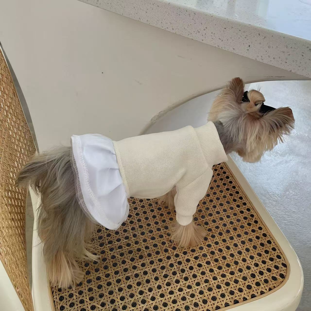 T00341 Yorkshire Maltese suspenders small flying sleeve vest simple elastic dog cat clothes