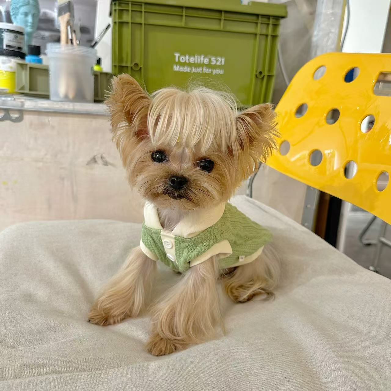 T00343 Pet clothes waffle fake two-piece floral overalls Yorkshire Maltese dog cat clothes