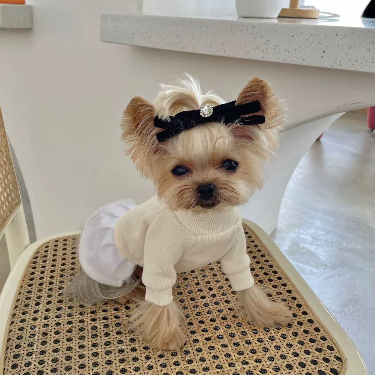 T00341 Yorkshire Maltese suspenders small flying sleeve vest simple elastic dog cat clothes