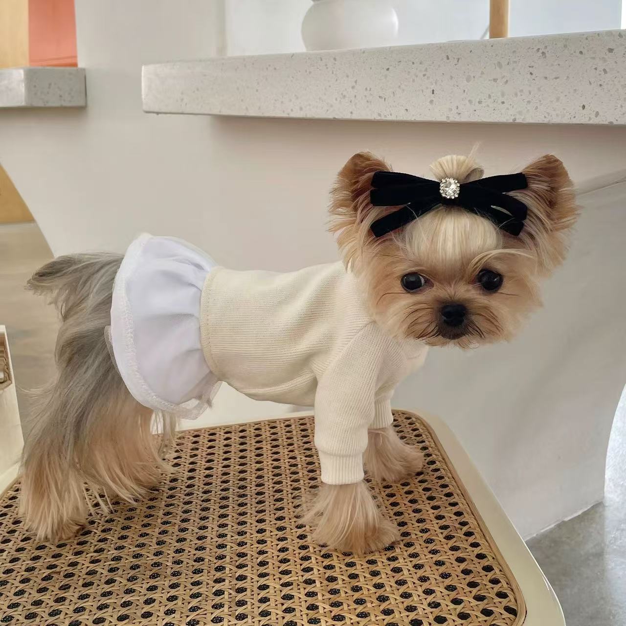 T00341 Yorkshire Maltese suspenders small flying sleeve vest simple elastic dog cat clothes