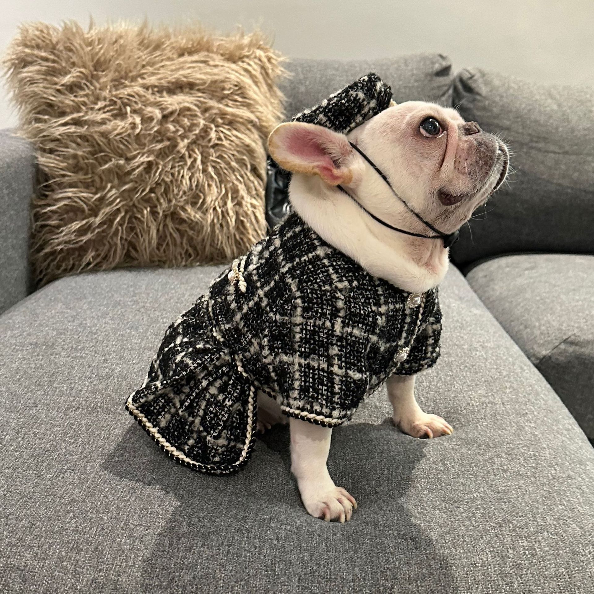 Tweed Luxury Princess Dog Apparel Dress Girl Cute Pet Clothes Outfit Small Dogs Costume Puppy Dresses for Small Dogs Cat Girl Teacup Yorkie Chihuahua 
