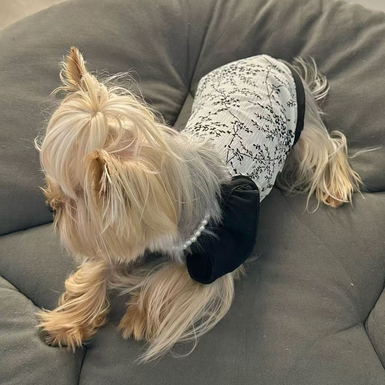 T00342 Pet clothes Yorkshire terrier Maltese dog pullover easy to wear elastic sleeveless hoodie dog clothes