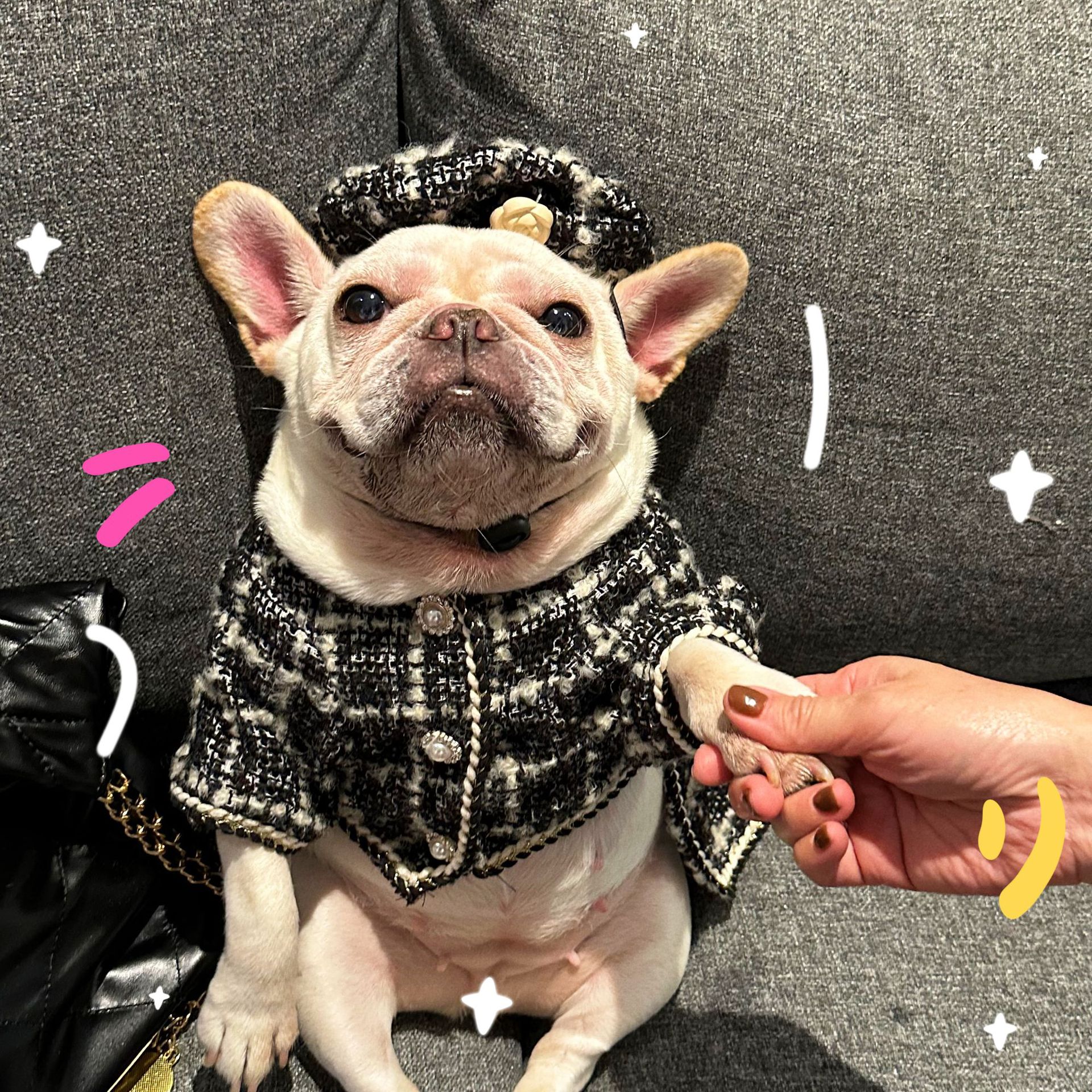 Tweed Luxury Princess Dog Apparel Dress Girl Cute Pet Clothes Outfit Small Dogs Costume Puppy Dresses for Small Dogs Cat Girl Teacup Yorkie Chihuahua 