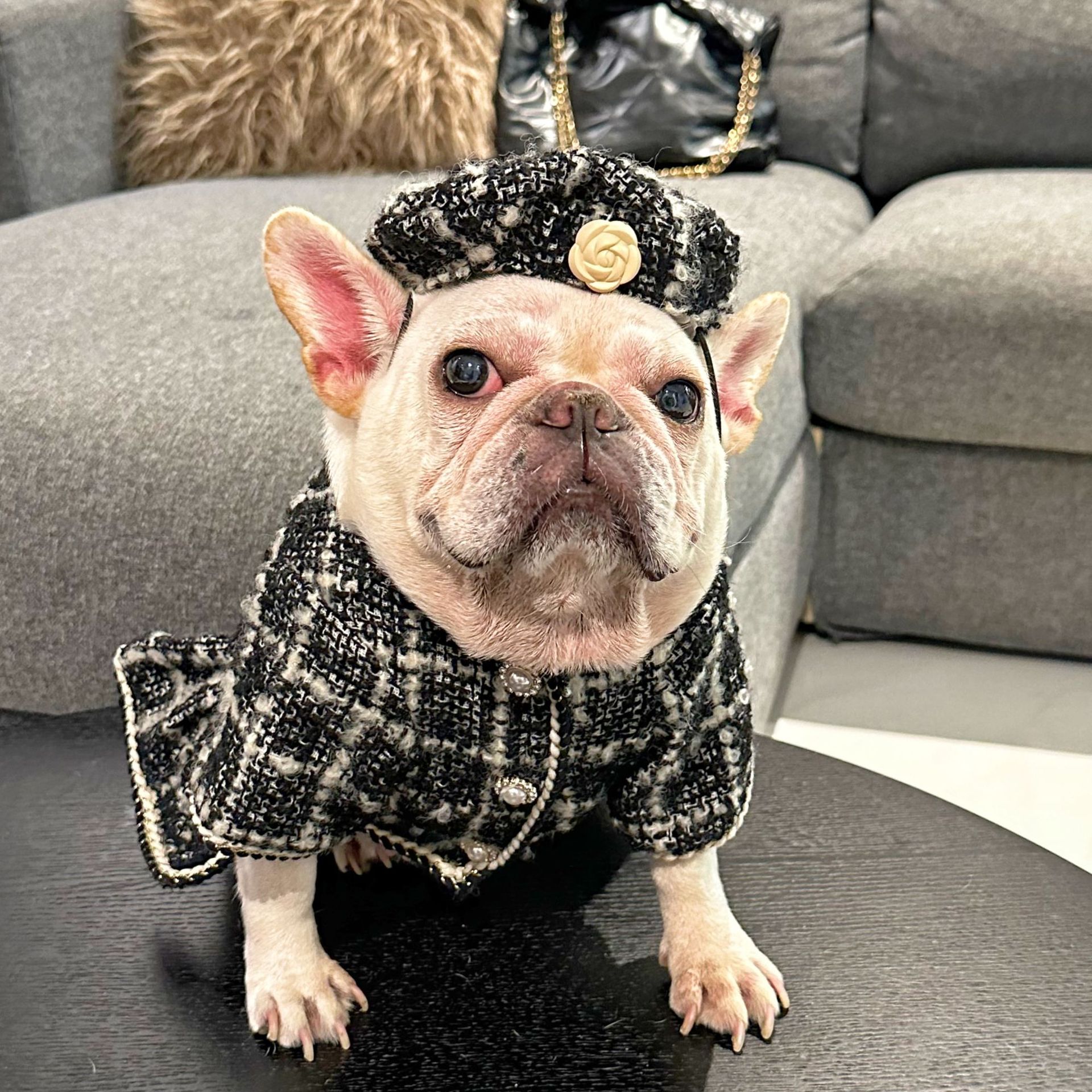 Tweed Luxury Princess Dog Apparel Dress Girl Cute Pet Clothes Outfit Small Dogs Costume Puppy Dresses for Small Dogs Cat Girl Teacup Yorkie Chihuahua 