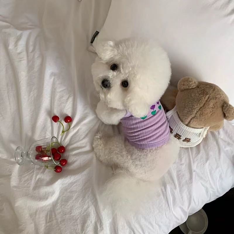 T00354 Pet sling summer dog clothes summer thin teddy vest Bichon Pomeranian Yorkshire small dog cat