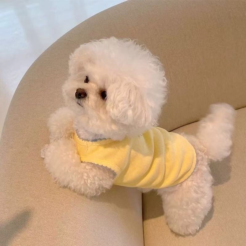 T00347 Yorkshire Terrier Dog Korean Puff Sleeve Lace Stretch Shirt Small Dog Comfortable Clothes