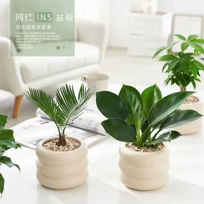 Simple Ceramic Flowerpot Off Desktop Green Plant Flowerpot Wind Silver Small Vase Flower Arrangement Decor Desktop Ornament Y251201