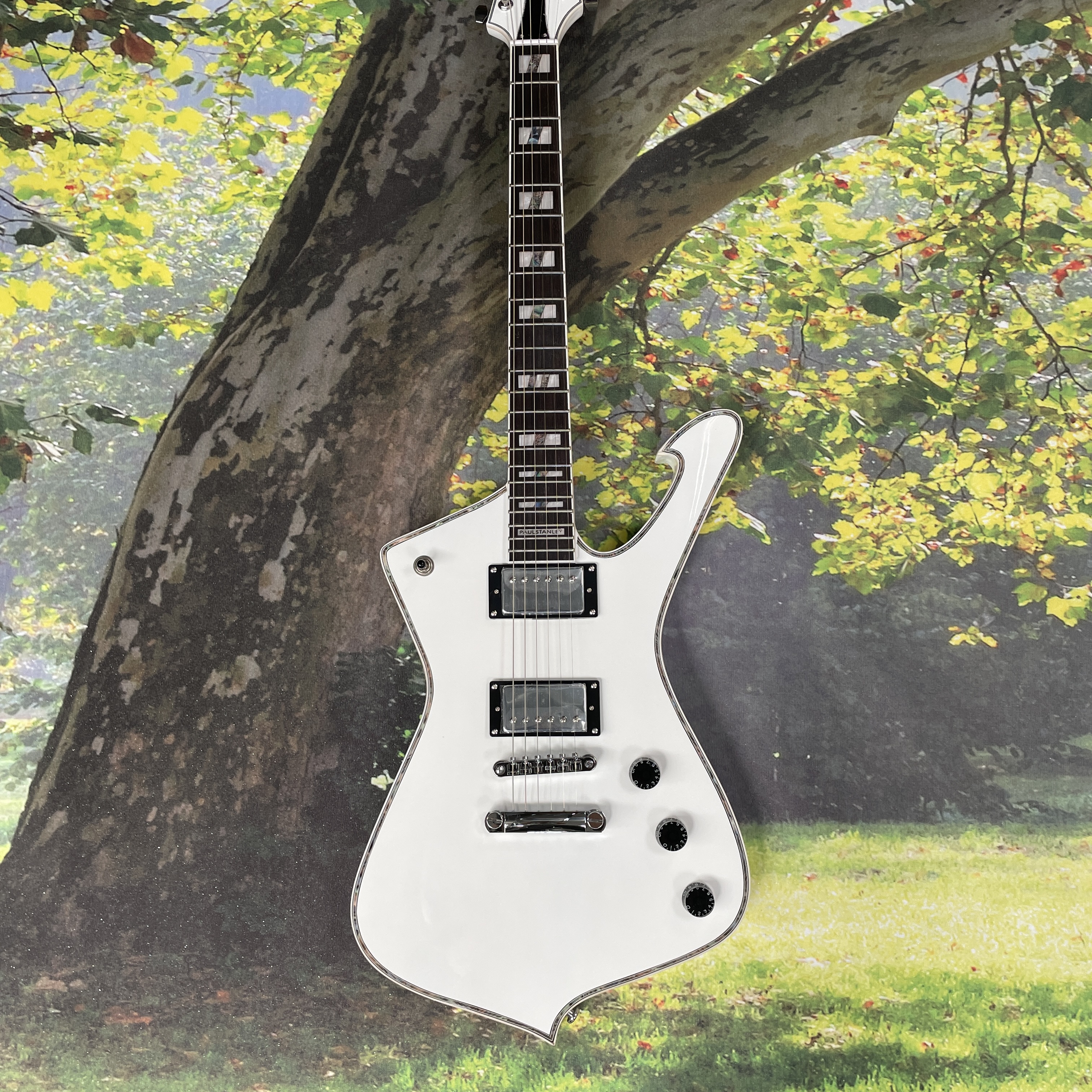 High-Fidelity Class… - image