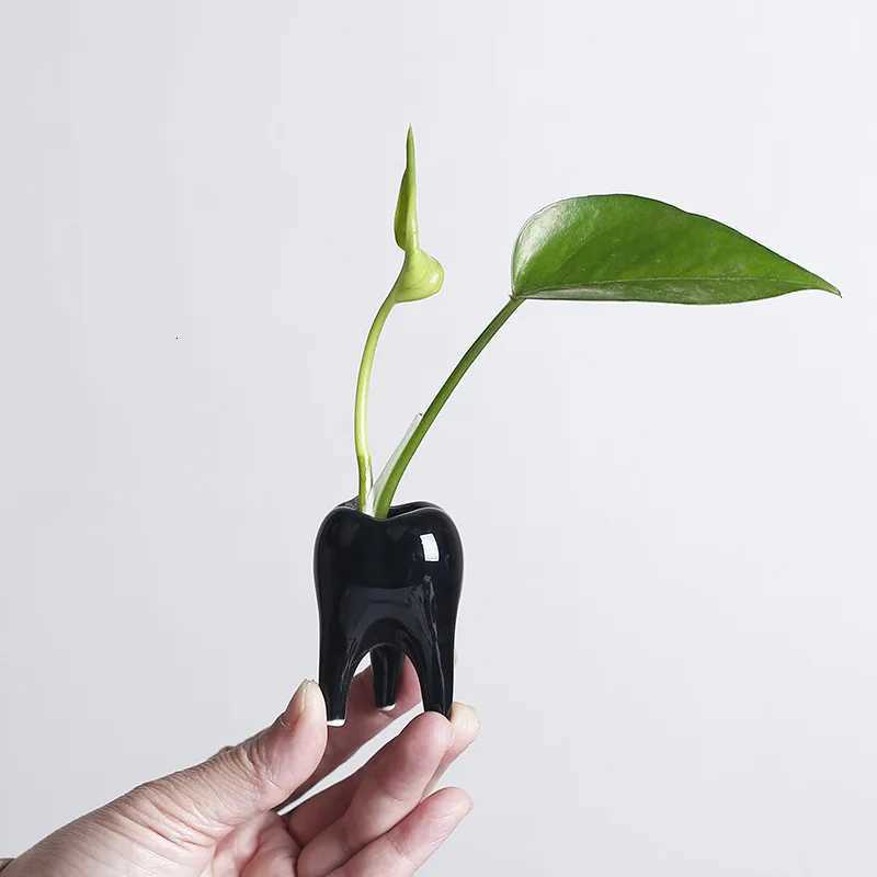 Cartoon Tooth Flowerpot Lovely Hydroponic Porcelain Flowerpot Succent Pot Garden Accessories Balcony Decorations Plant Pot Y251201