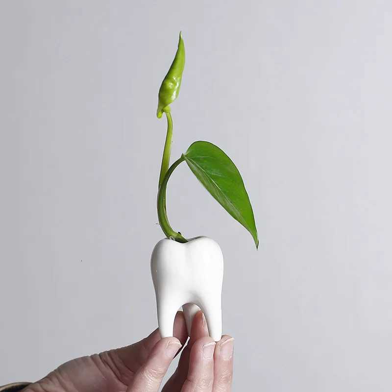 Cartoon Tooth Flowerpot Lovely Hydroponic Porcelain Flowerpot Succent Pot Garden Accessories Balcony Decorations Plant Pot Y251201