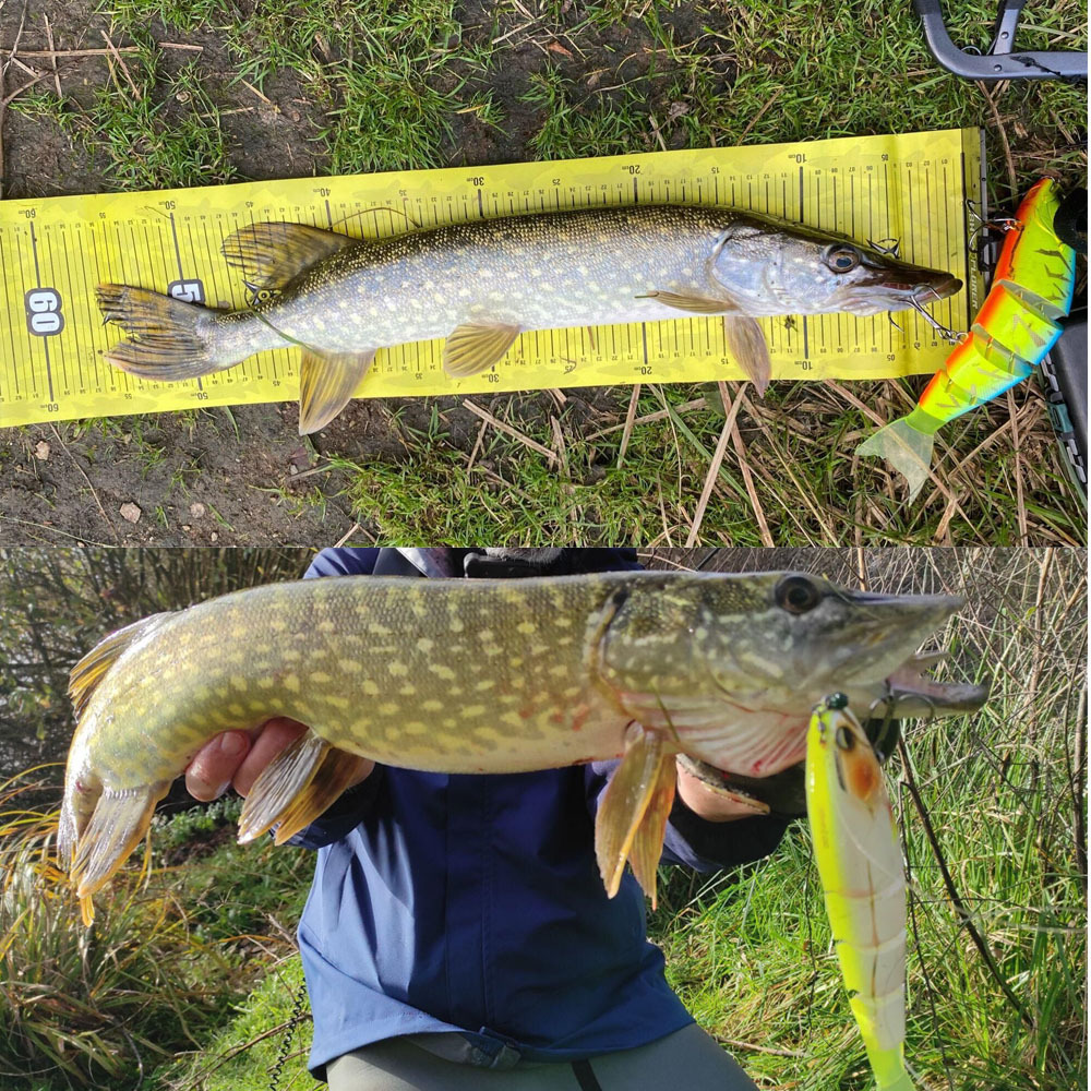 Baits Lures Swimming Bait Jointed Fishing Lure Floating Hard bait with Jerk Fishing Lure For Big Bait Bass Pike Minnow Lure High Quality 230403