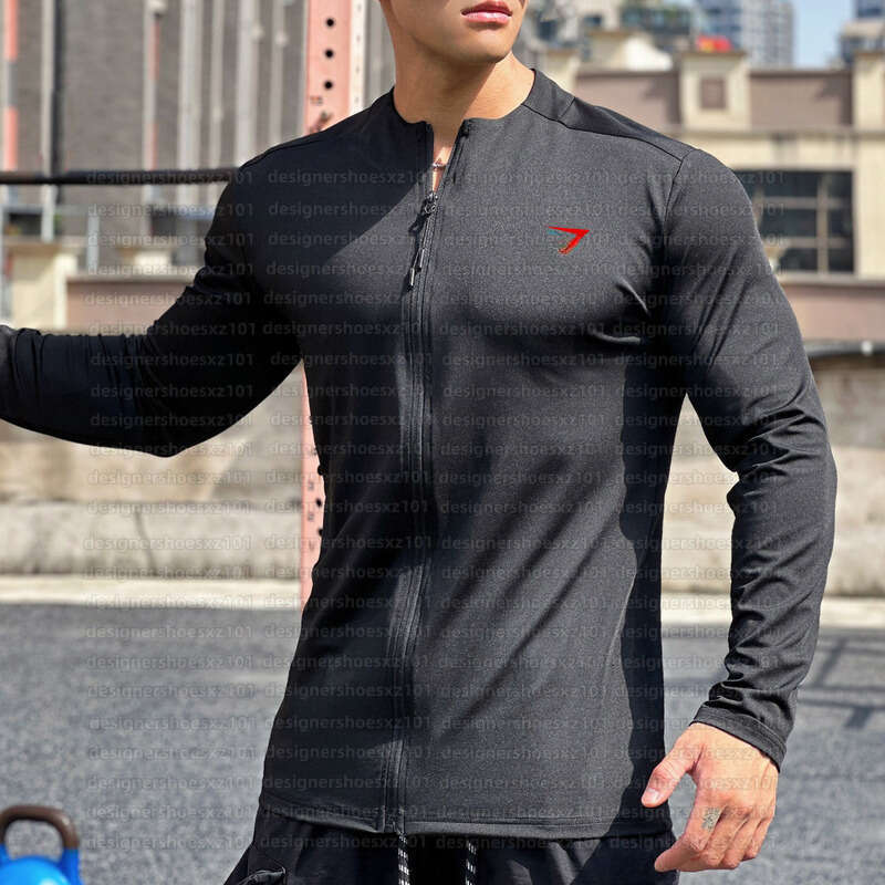 Yoga Gyms Shark Des… - image