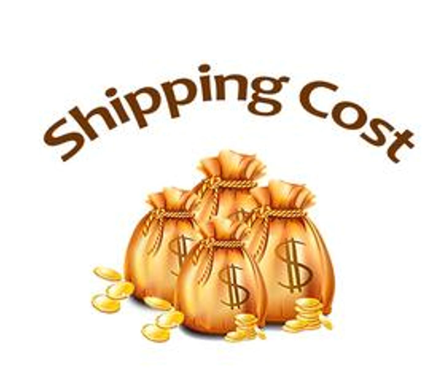 Customized link for payment, fast ship,best quality, for buyer to make payment