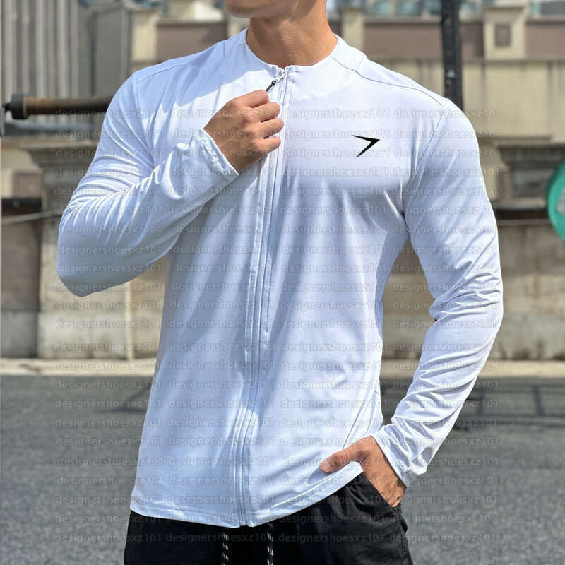 10A Yoga Gyms Shark… - image