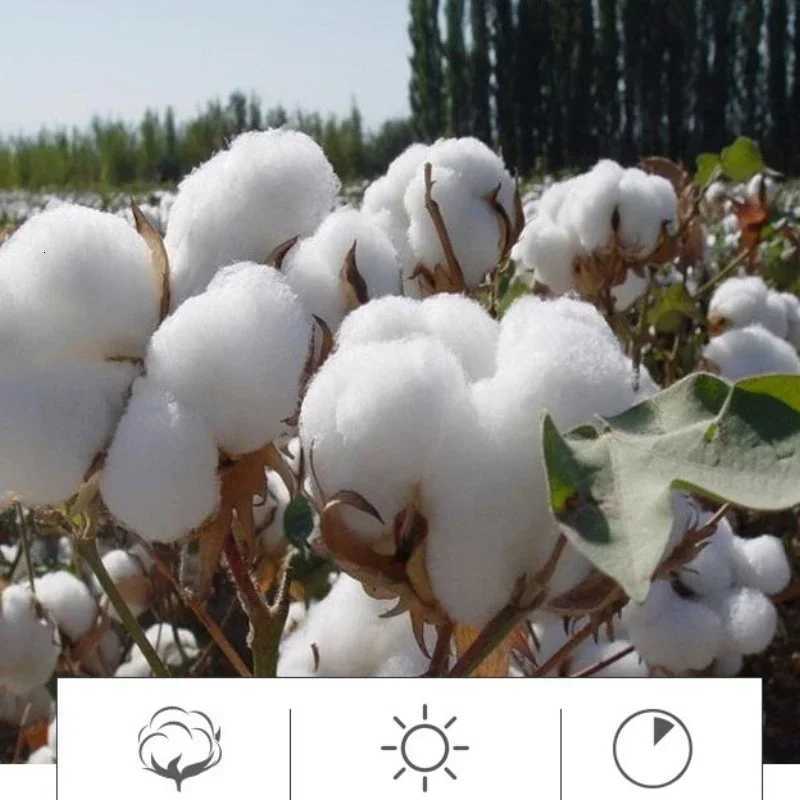 Towel Large Bath Towels 100 Cotton 140 x 70cm Extra Beach Towels Lighter Weight Absorbent Quick Dry Perfect Bathroom Towels Y251202