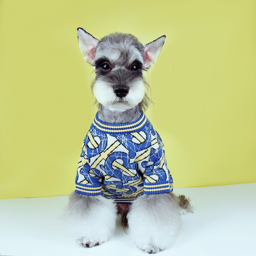 Designer Clothes Warm Winter Sweater with Letter Pattern Cold Weather Dog Apparel for Small Dogs Indoor Outdoor, Soft Classic Knit Puppy Coat Blue S 9