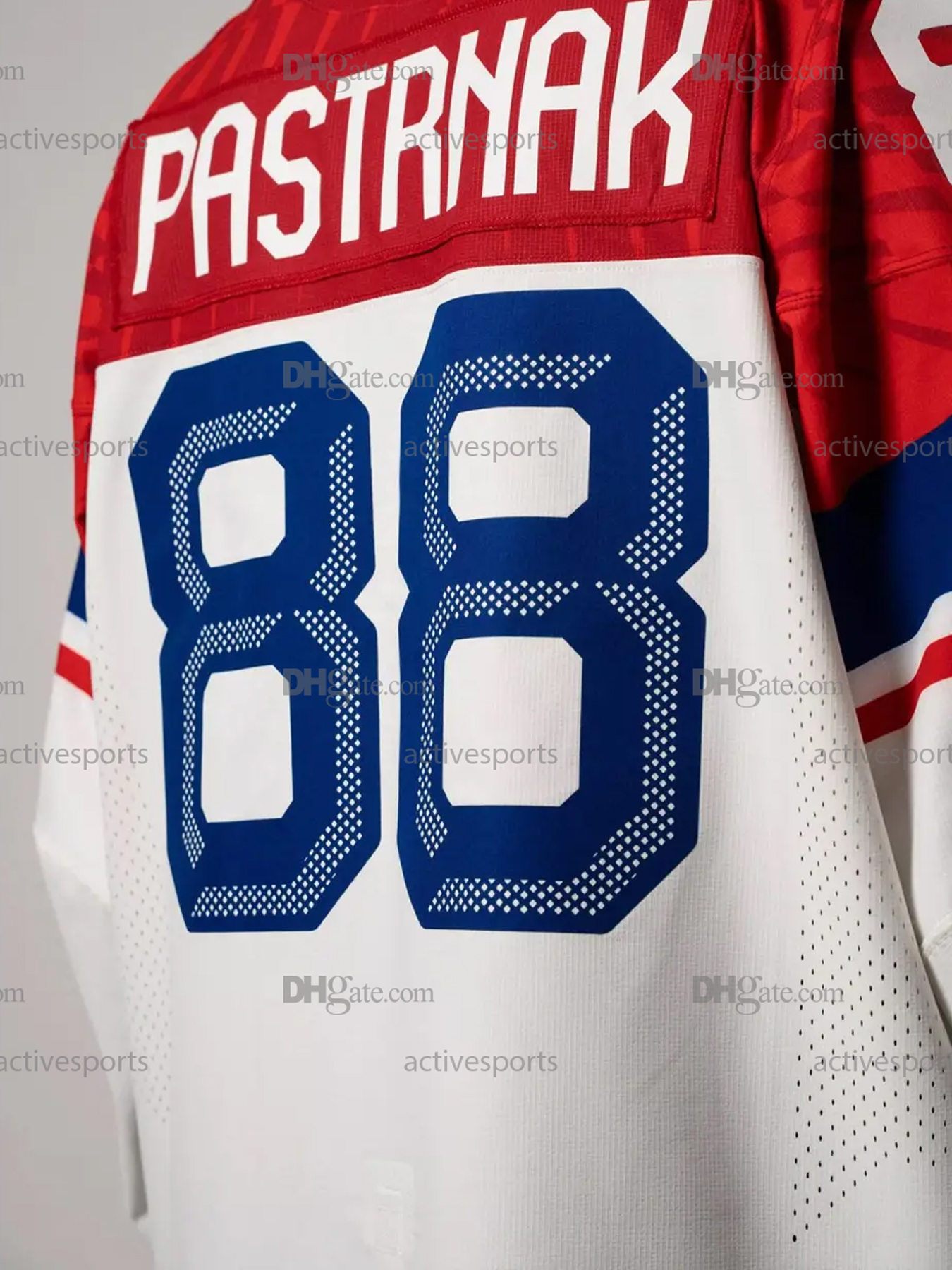 Custom 88 Pastrnak Team Czech Republic Jerseys Necas Palat Zacha Gudas Stitched Name Number Hockey