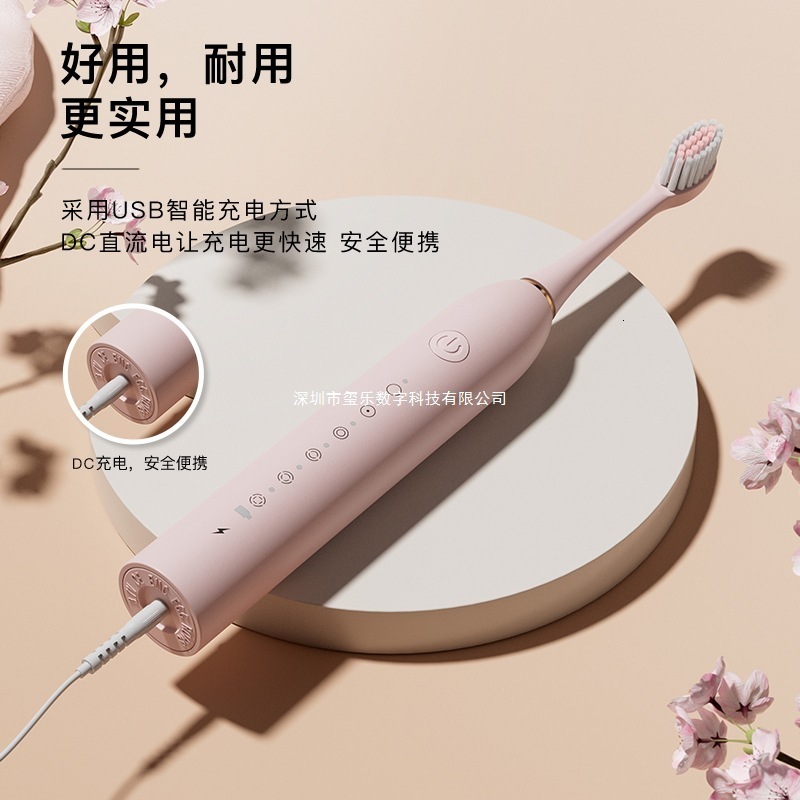 Electric Toothbrush For Adults Tooth Deep Clean 10 Brush Heads Travel Case Built in Smart Timer Sonic Toothbrush 250121