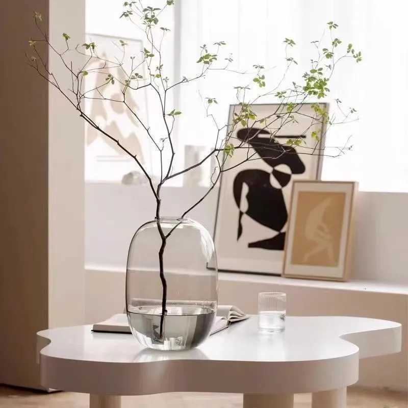 Transparent Vase Off Decor Large Capacity Hydroponic Flower Pot Vase Bedro Aesthetic Decor He Decor H251204