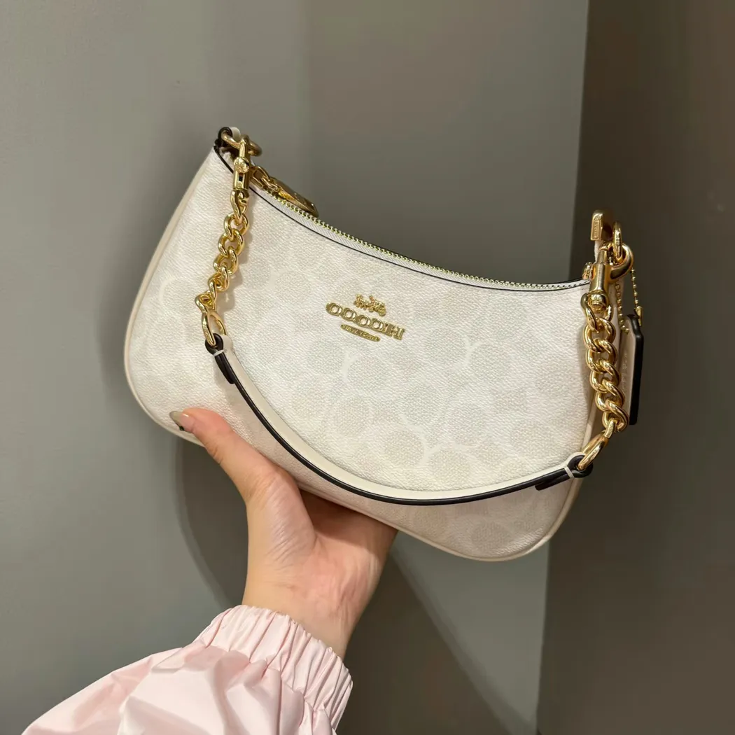 10A designer bag luxury high quality ccoacher handbag for women crossbody bags designer women beach bag designer teribag purse fashion saddle bag