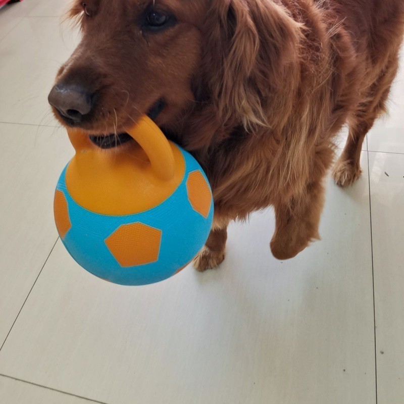 Pet Dog Toy Ball Bite-Resistant Basketball Rubber Handle Indestructible Large and Small Dog Training Interactive Game Ball Toy 240914