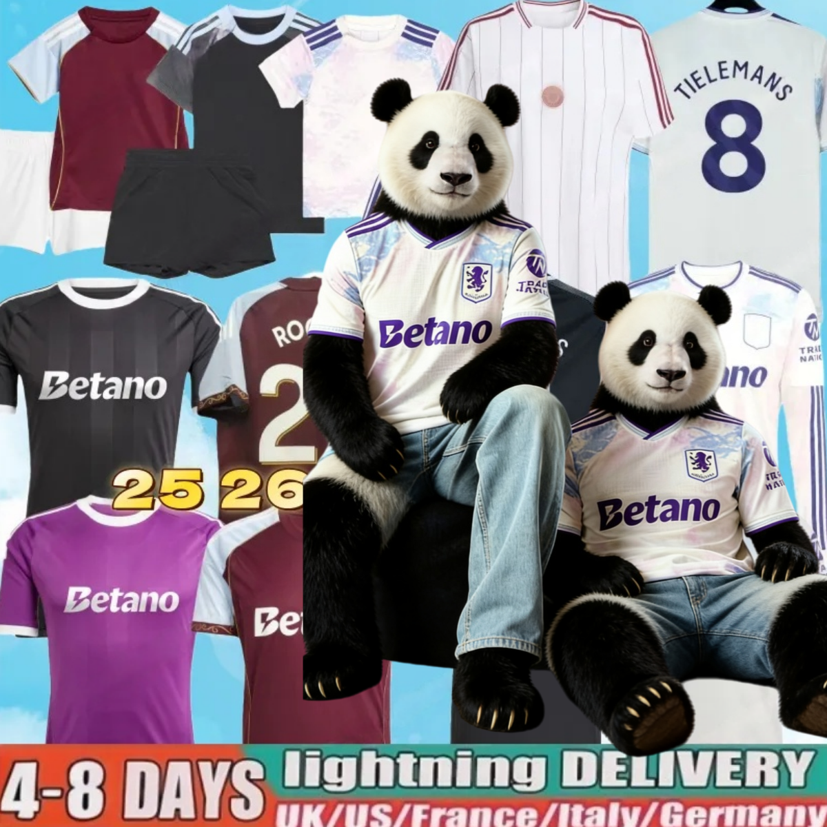 25 26 Aston Goalkee… - image