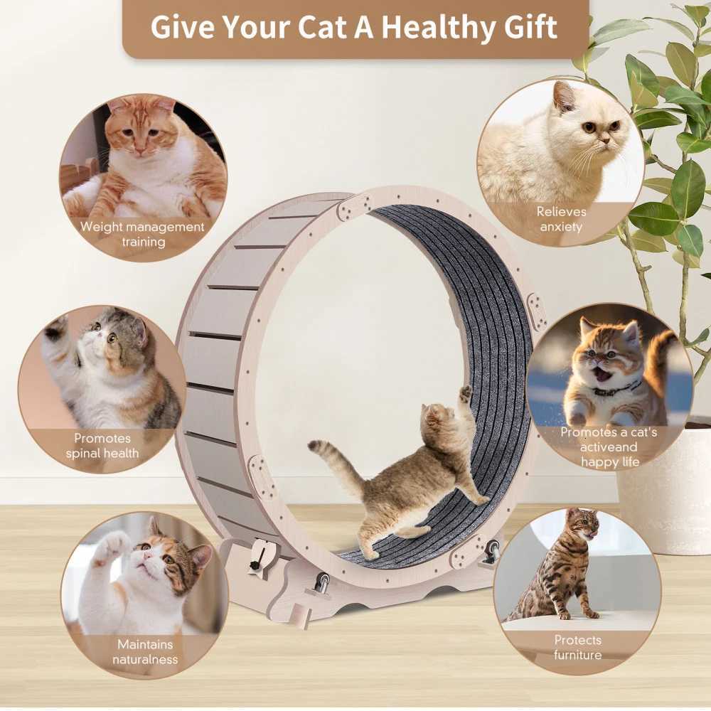 Cat Exercise Wheel For Indoor Cats Cat Running Wheel With Carpeted Runway 41 Natural Wood Color M251205
