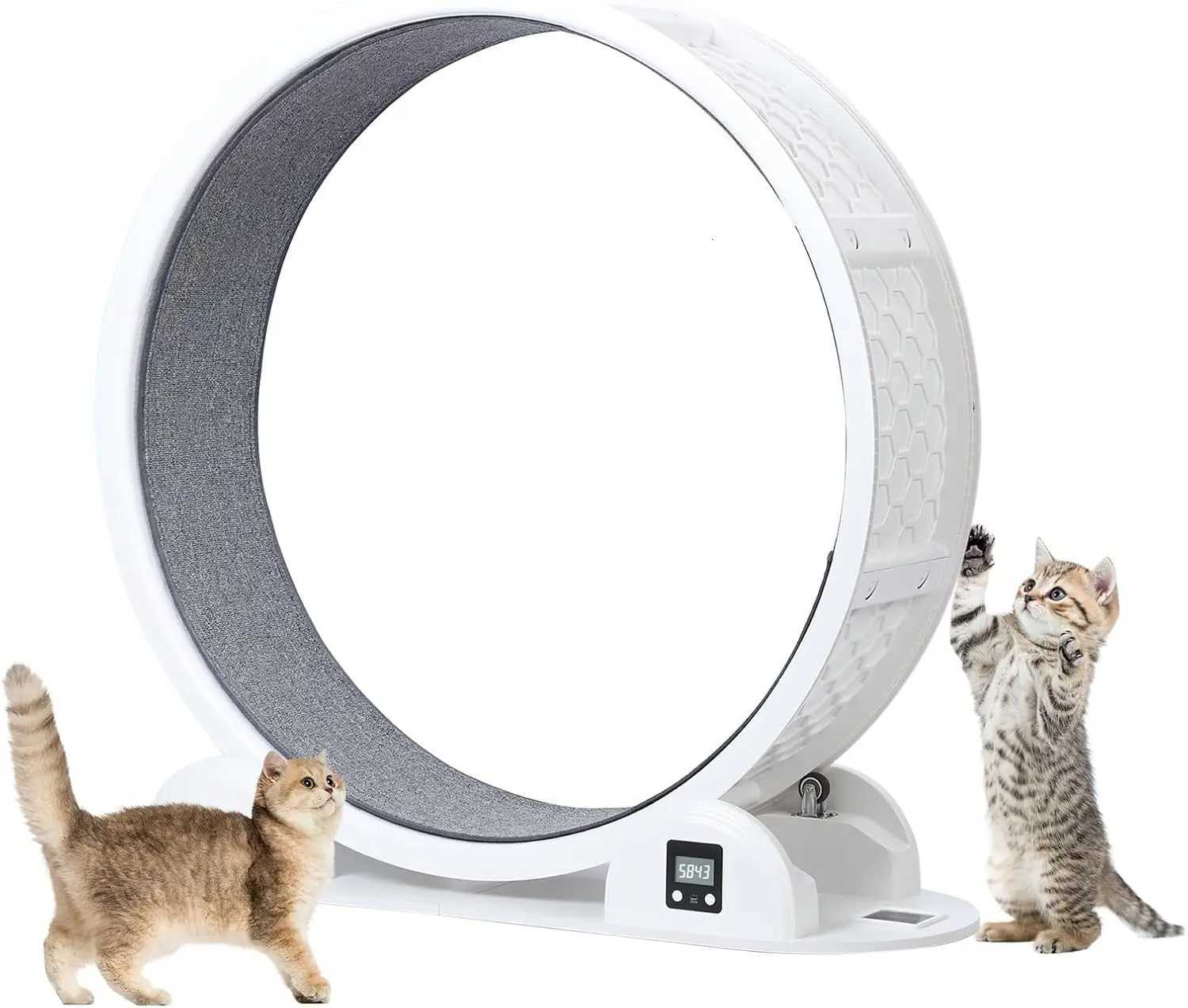 High Quality 41 Inch Large Cat Wheel Running Treadmill Cat Exercise Pet Fitness Toys Wheel Pedometer to Lose Weight M251205