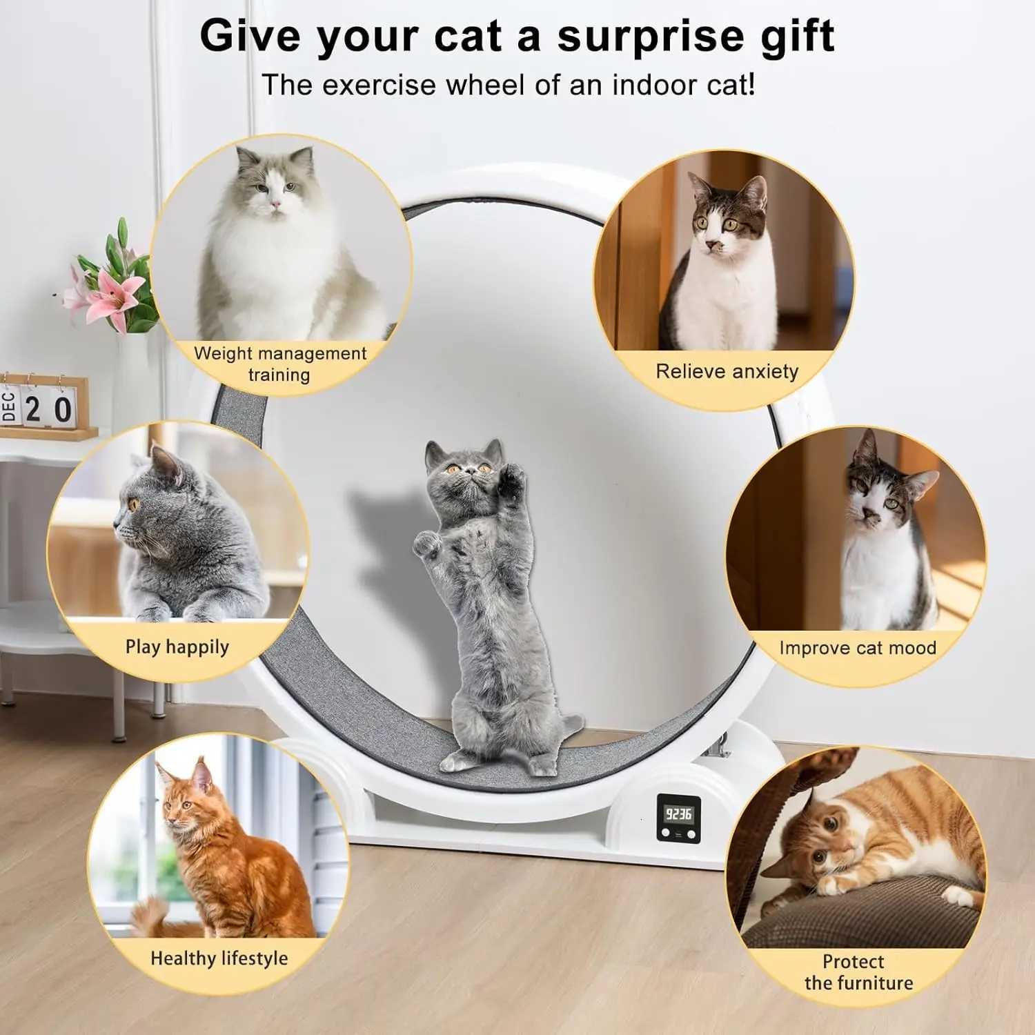 High Quality 41 Inch Large Cat Wheel Running Treadmill Cat Exercise Pet Fitness Toys Wheel Pedometer to Lose Weight M251205