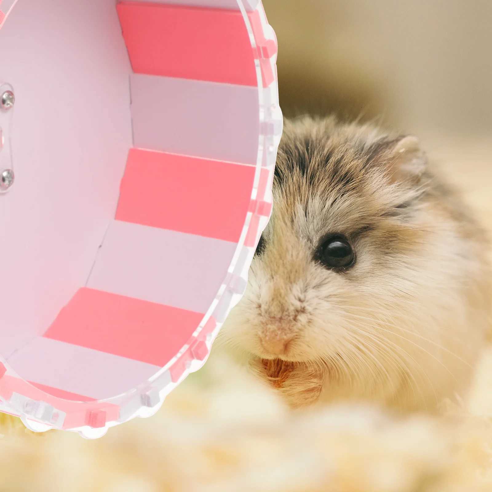 1pc Silent Hamster Running Wheel Colored Small Animal Exercise For Mice Squirrel Pet Supplies Quiet Plaything No Bracket M251205