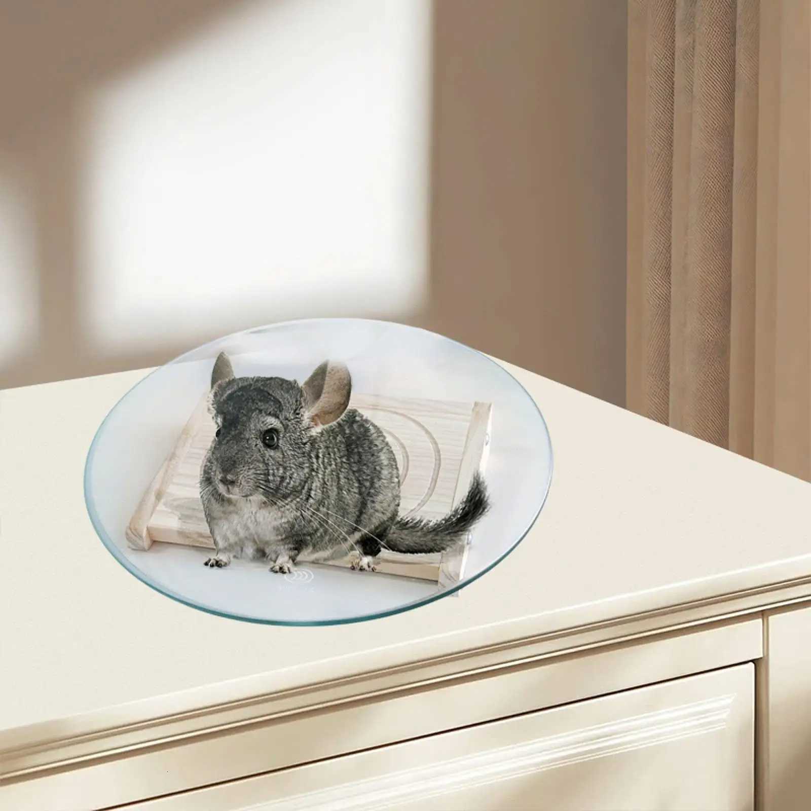 Hamster Wheel Platform Spinner Smoothly Quiet Silent Running Exercise Wheel for Small Animals Hedgehog Mouse Gerbils Activity M251205