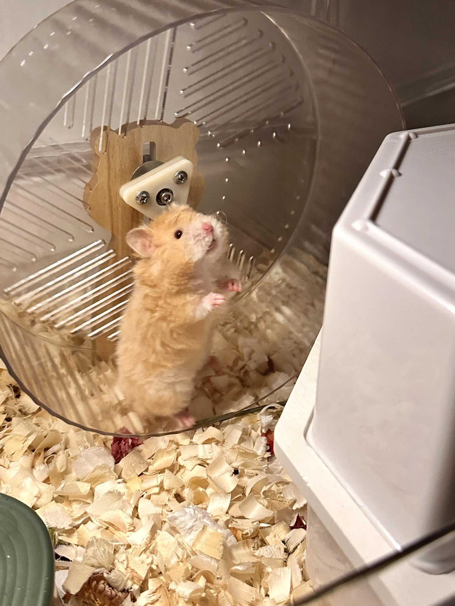 Hamster Running Wheel Golden Bear To Relieve Boredom Toy Roller Ultra-quiet Runner Large Bracket Special For Toy Landscapin M251205