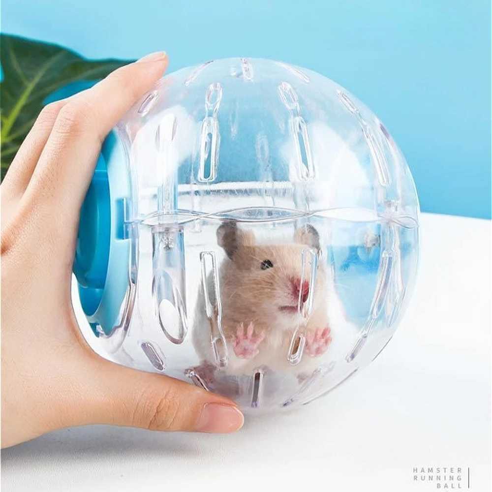 Hamster Sports Running Wheel Outdoor Running Ball Rolling Ball Durable Landscape Toy Pet Products Outer Cage M251205