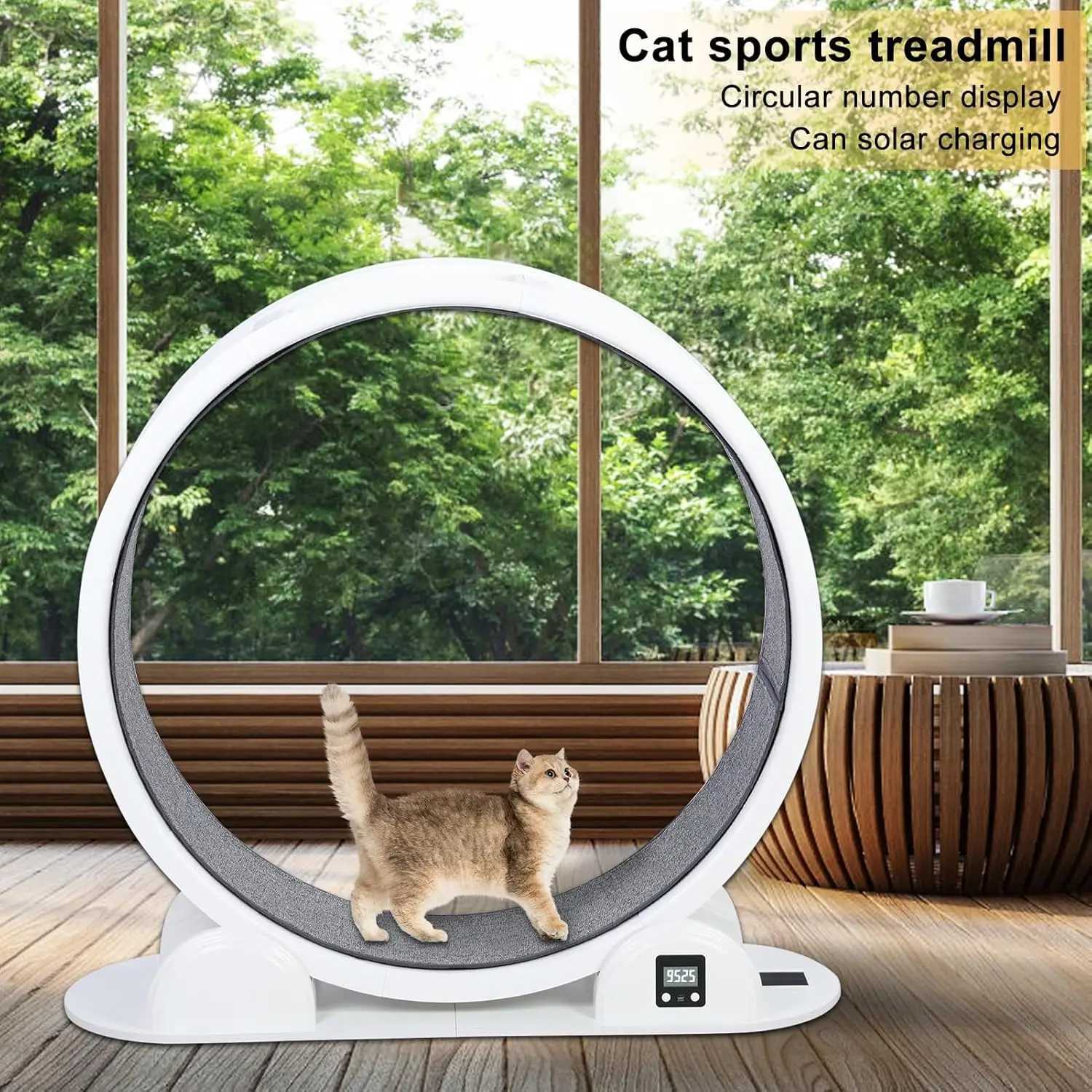 High Quality 41 Inch Large Cat Wheel Running Treadmill Cat Exercise Pet Fitness Toys Wheel Pedometer to Lose Weight M251205