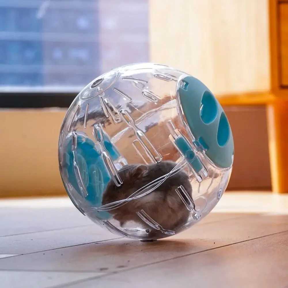 Small Plastic Outdoor Sport Ball Pet Rat Grounder Mice Exercise Toy M251205